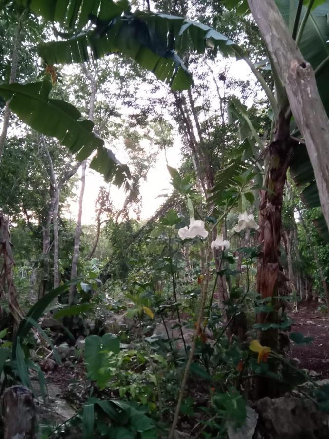 Ecolodge Uh May Francisco Uh May Εξωτερικό φωτογραφία