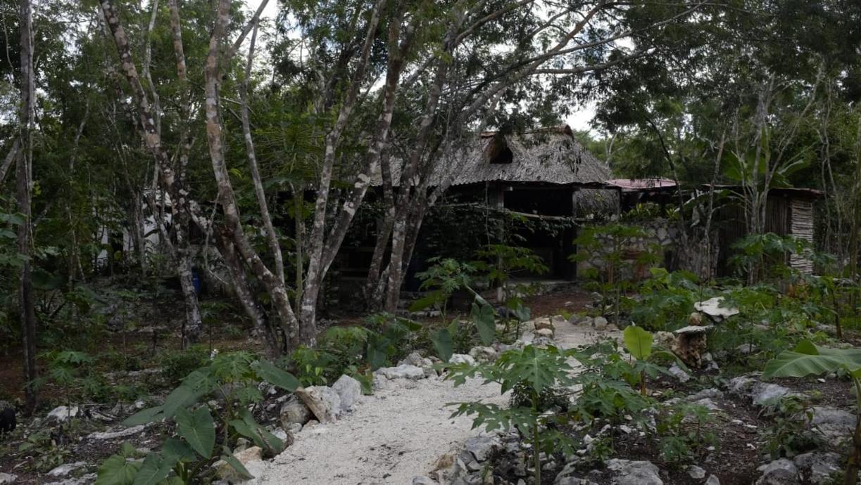 Ecolodge Uh May Francisco Uh May Εξωτερικό φωτογραφία