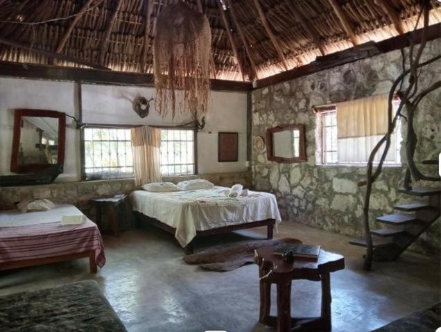 Ecolodge Uh May Francisco Uh May Εξωτερικό φωτογραφία